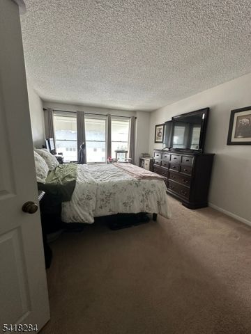 19 Amherst Ct, Hamburg Boro, NJ 07419