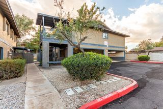 286 W PALOMINO Drive 184, Chandler, AZ 85225