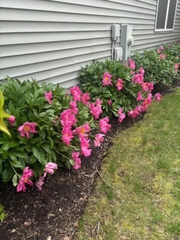 21249 LILY LAKE Lane, Crest Hill, IL 60403