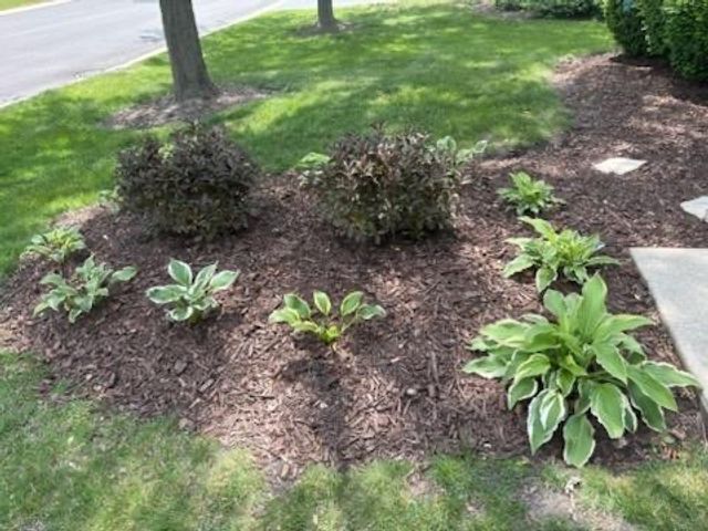 21249 LILY LAKE Lane, Crest Hill, IL 60403