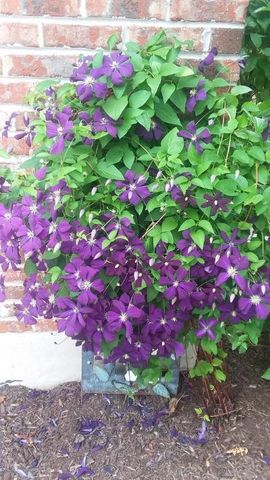 21249 LILY LAKE Lane, Crest Hill, IL 60403