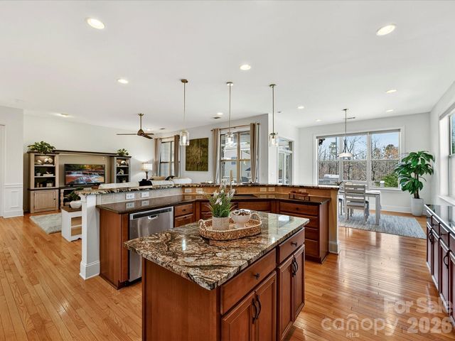 15133 High Bluff Court, Charlotte, NC 28278