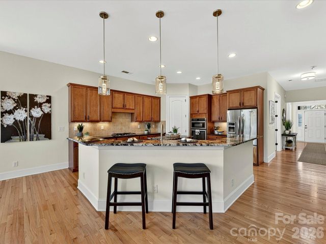 15133 High Bluff Court, Charlotte, NC 28278