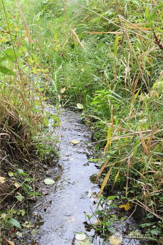 2600 Center Road, Chimacum, WA 98325