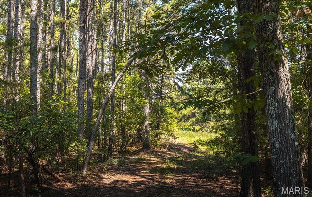 2251 County Road 6670, Salem, MO 65560