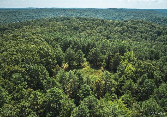 2251 County Road 6670, Salem, MO 65560