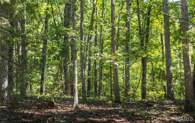 2251 County Road 6670, Salem, MO 65560