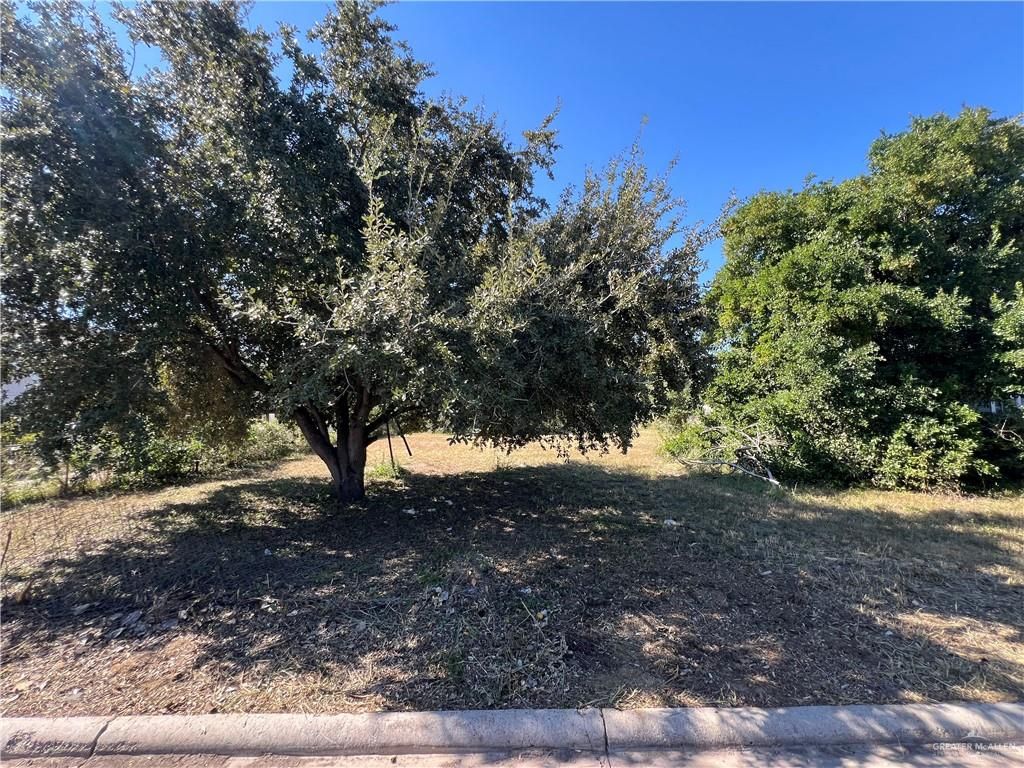 1218 Ohio Street, San Juan, TX 78589