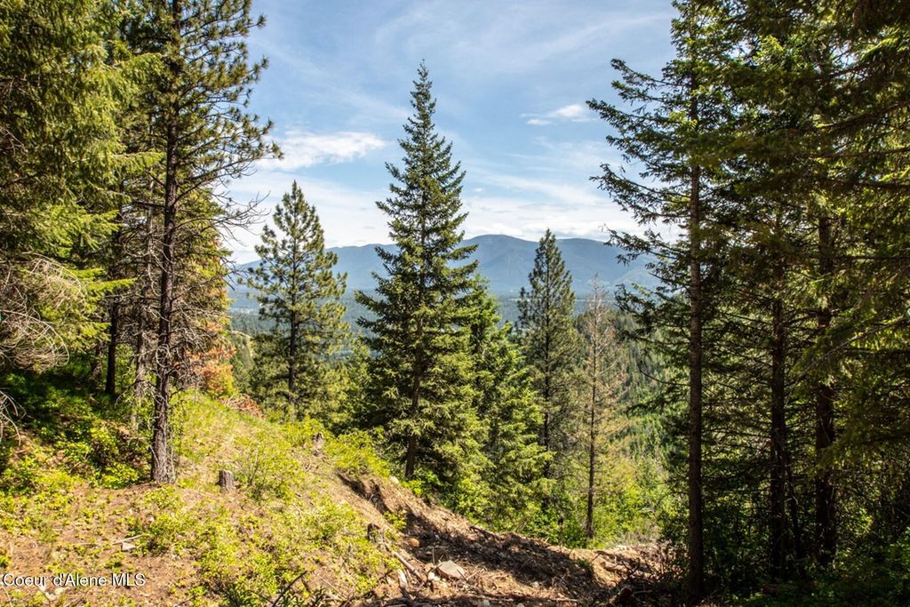 69 Boreal Way, Bonners Ferry, ID 83805 photo 17