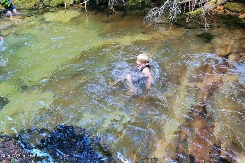 69 Boreal Way, Bonners Ferry, ID 83805 photo 6