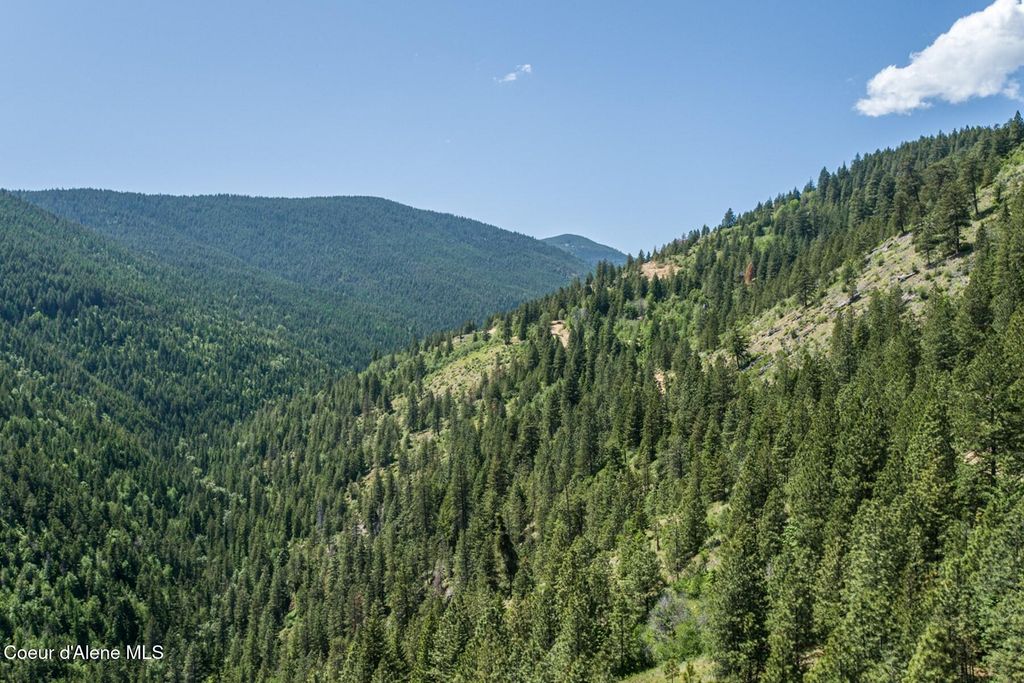 69 Boreal Way, Bonners Ferry, ID 83805 photo 8