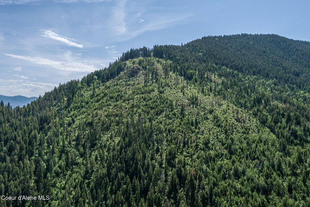 69 Boreal Way, Bonners Ferry, ID 83805 photo 9