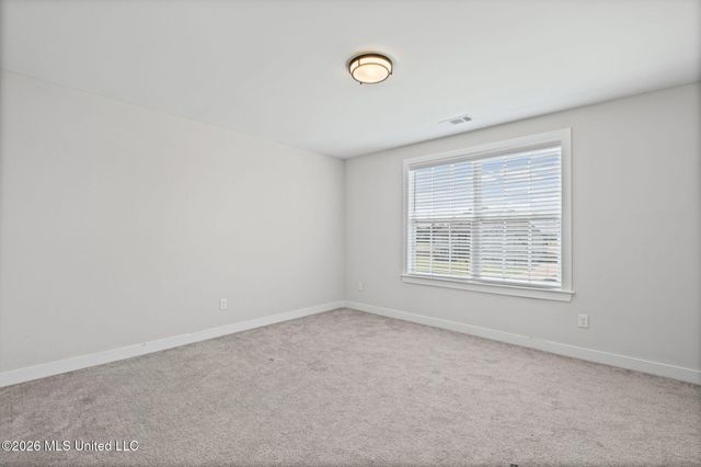 13720 Landry Lane, Olive Branch, MS 38654
