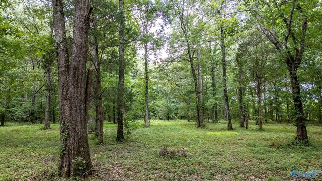 5001 N County Road 491, Stevenson, AL 35772