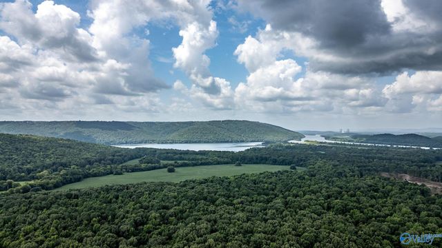 5001 N County Road 491, Stevenson, AL 35772