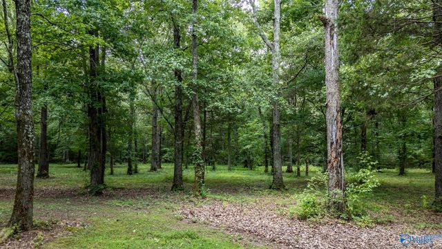 5001 N County Road 491, Stevenson, AL 35772