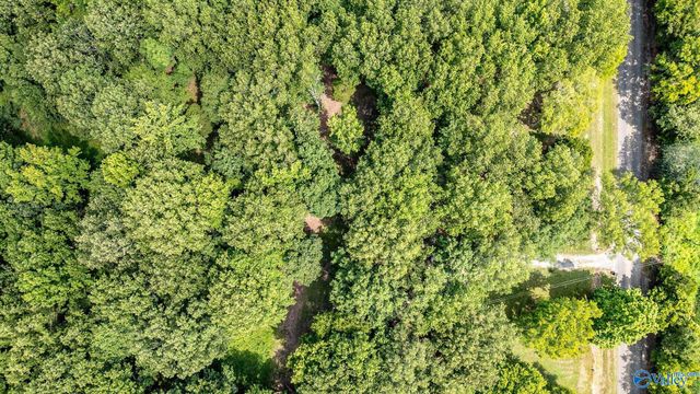 5001 N County Road 491, Stevenson, AL 35772