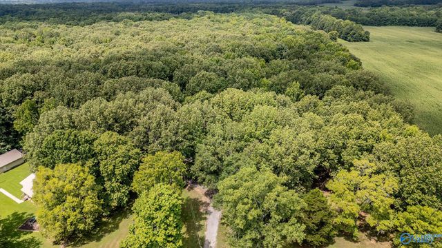 5001 N County Road 491, Stevenson, AL 35772