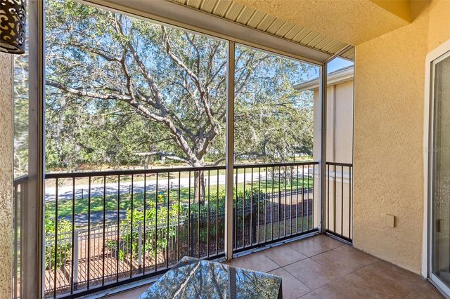 5125 PALM SPRINGS BOULEVARD 11208, Tampa, FL 33647