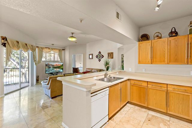 5125 PALM SPRINGS BOULEVARD 11208, Tampa, FL 33647