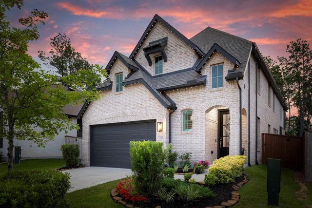 221 Sky Top Drive, Montgomery, TX 77316