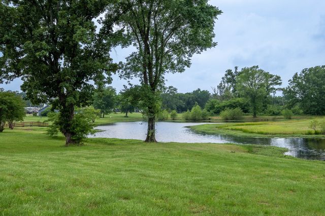 216 Balckfoot, Quitman, TX 75783