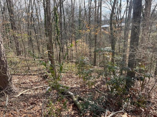 0 Mark Twain Circle, Chattanooga, TN 37406