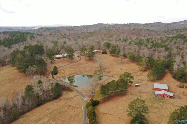 721 County Road 75, Cedar Bluff, AL 35959