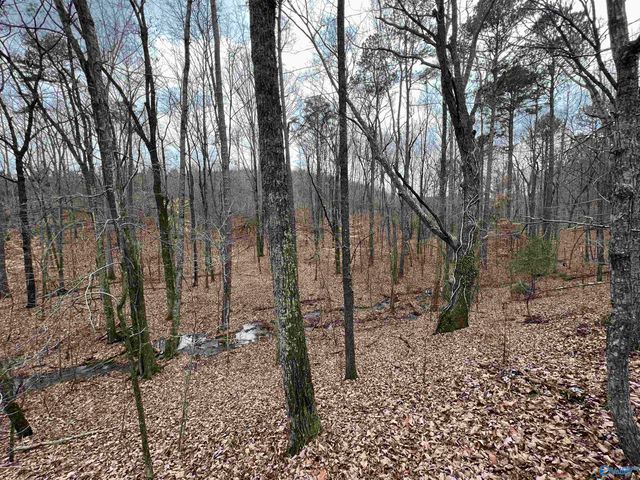 721 County Road 75, Cedar Bluff, AL 35959