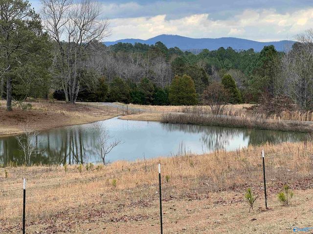 721 County Road 75, Cedar Bluff, AL 35959