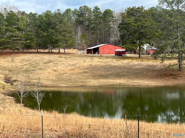 721 County Road 75, Cedar Bluff, AL 35959