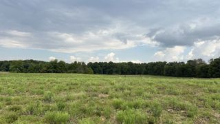 4 William Woodard Road, Springfield, TN 37172