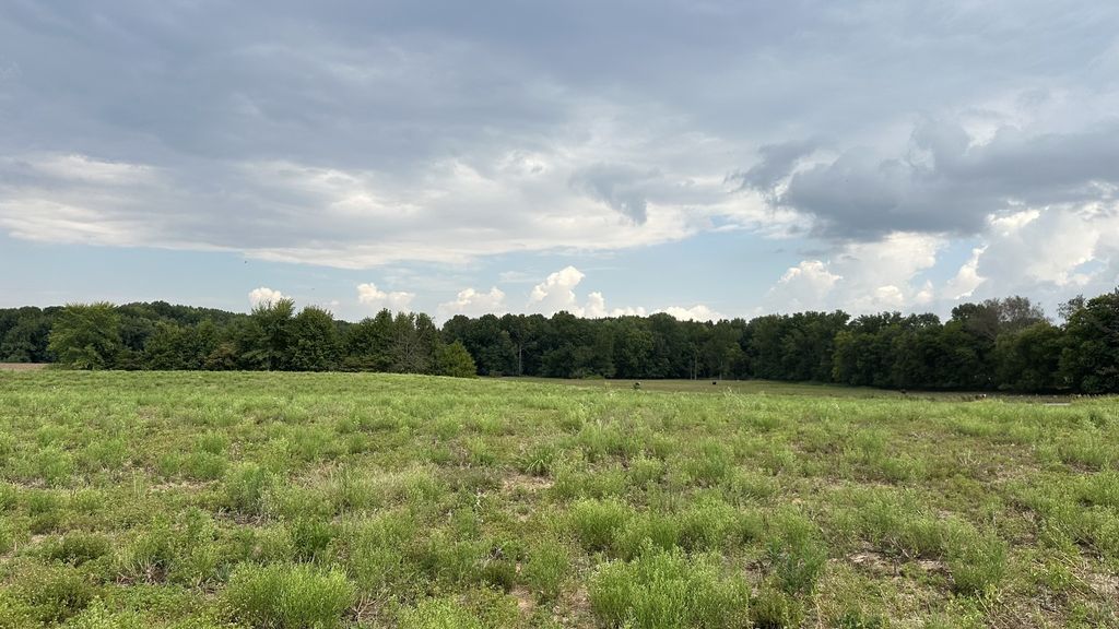 4 William Woodard Road, Springfield, TN 37172