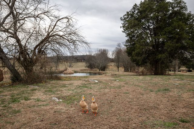 95 Old 25 Loop, Castalian Springs, TN 37031