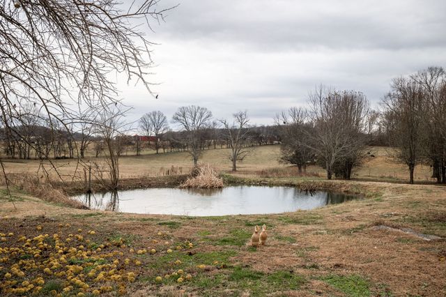 95 Old 25 Loop, Castalian Springs, TN 37031