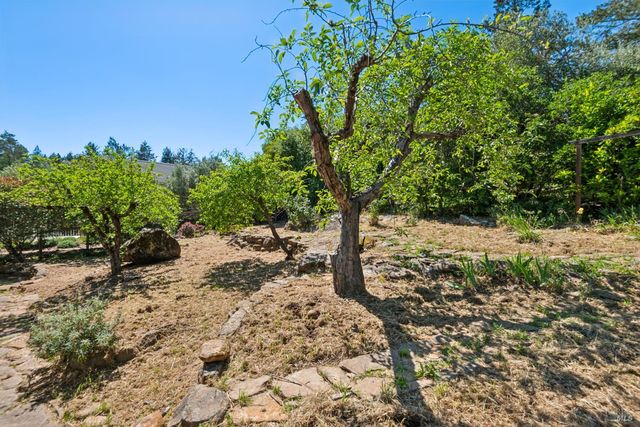 1475 Los Olivos Rd, Santa Rosa, CA 95404
