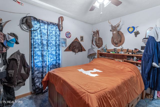 181 Mullins Lane, Sunbright, TN 37872