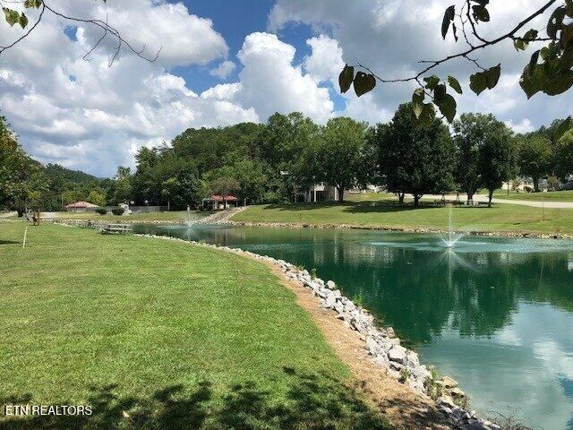 1142 Kinglet St, Townsend, TN 37882