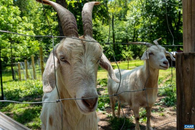 4209 HAWKINS LN, Barboursville, VA 22923