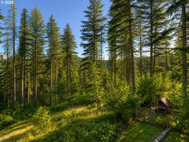 32146 VIEWCREST Dr, Warren, OR 97053