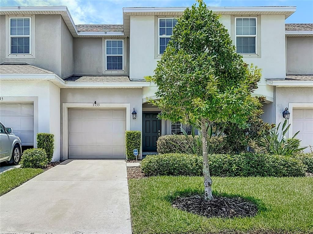 7133 SUMMER HOLLY PLACE, Riverview, FL 33578