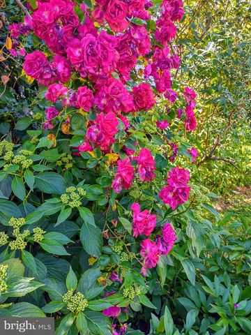 4341-43 GERMANTOWN AVE, Philadelphia, PA 19140