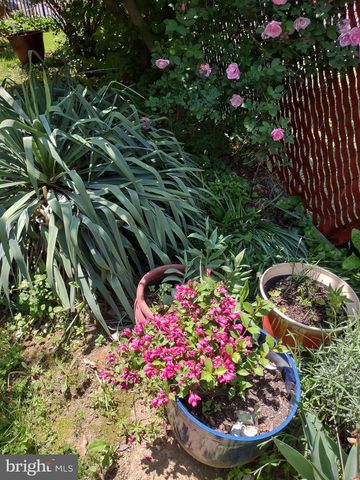 4341-43 GERMANTOWN AVE, Philadelphia, PA 19140