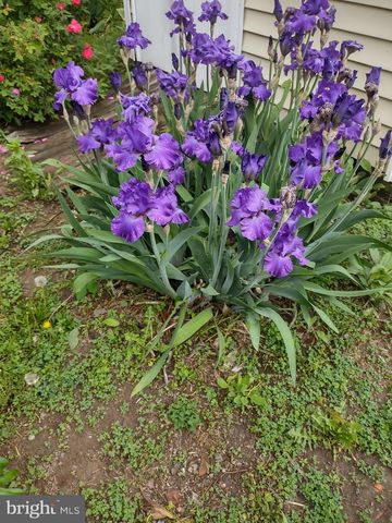 4341-43 GERMANTOWN AVE, Philadelphia, PA 19140