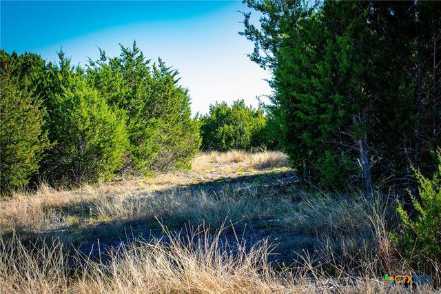 Lot 19 Homestead Drive, Lampasas, TX 76550