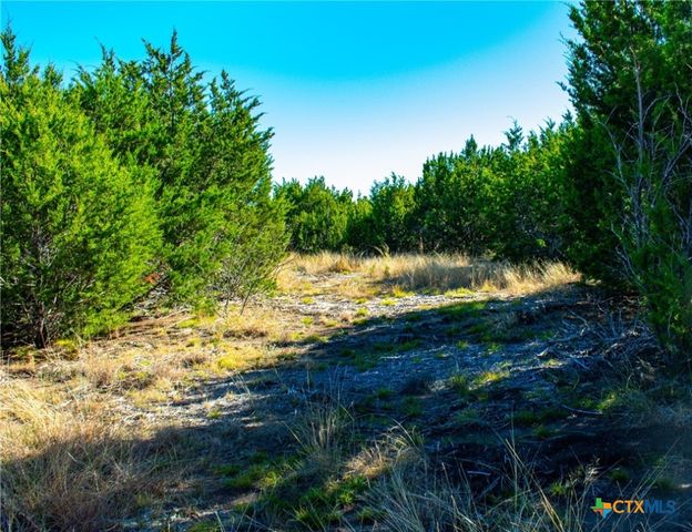 Lot 19 Homestead Drive, Lampasas, TX 76550