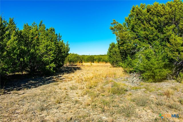 Lot 19 Homestead Drive, Lampasas, TX 76550