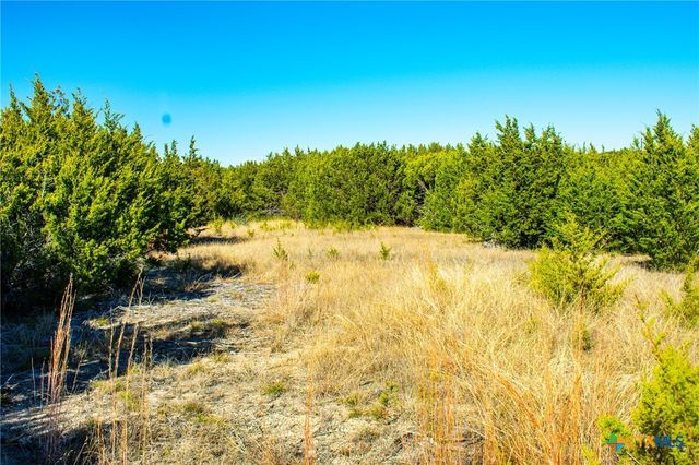 Lot 19 Homestead Drive, Lampasas, TX 76550