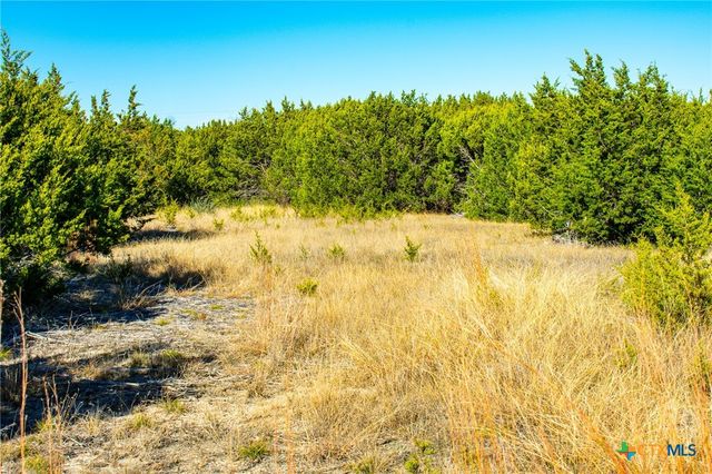 Lot 19 Homestead Drive, Lampasas, TX 76550