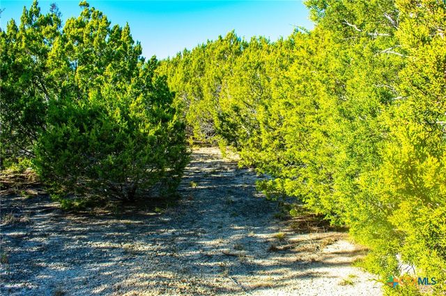 Lot 19 Homestead Drive, Lampasas, TX 76550